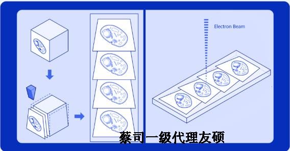 宿州蔡司宿州扫描电镜